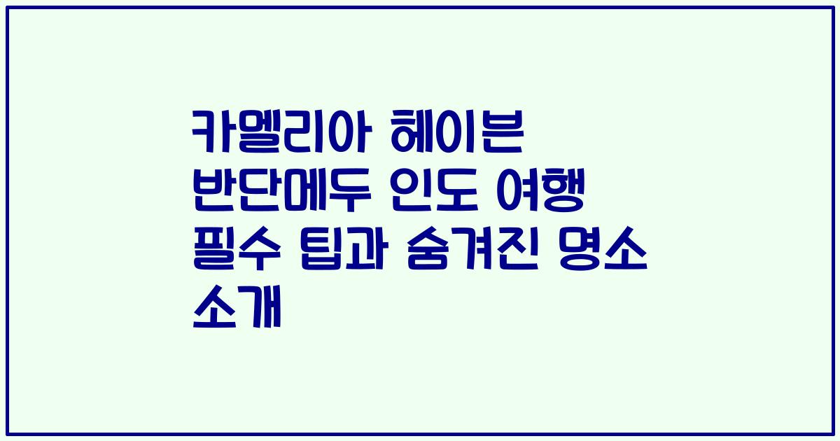카멜리아 헤이븐 반단메두 인도 여행 필수 팁과 숨겨진 명소 소개