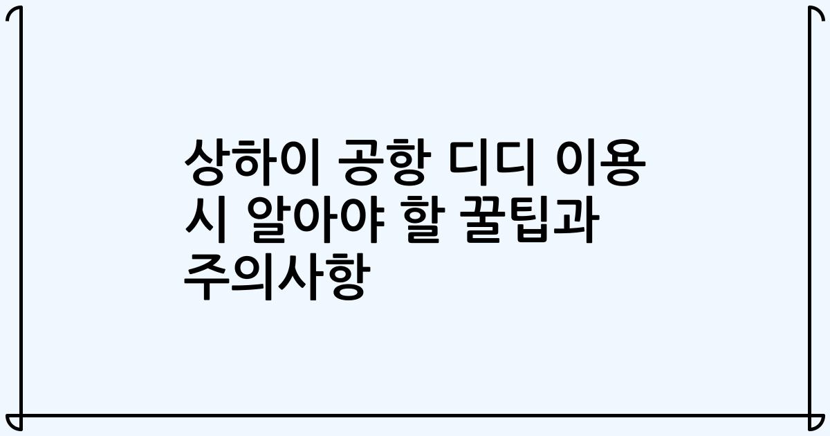 상하이 공항 디디 이용 시 알아야 할 꿀팁과 주의사항